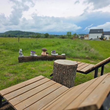 Wataha Pod Basztami - Wadera - Domki Caloroczne Radkow Zewnętrze zdjęcie